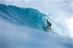 Ride the Waves: Surfing in Maldives with Dhinasha Liveaboard