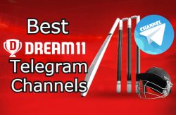 Dream11 Telegram