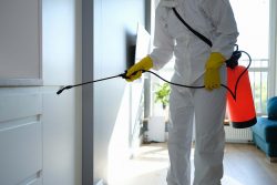 Residential Pest Control Experts Ohio