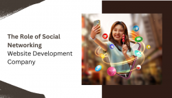 The Role of a Social Networking Website Development Company