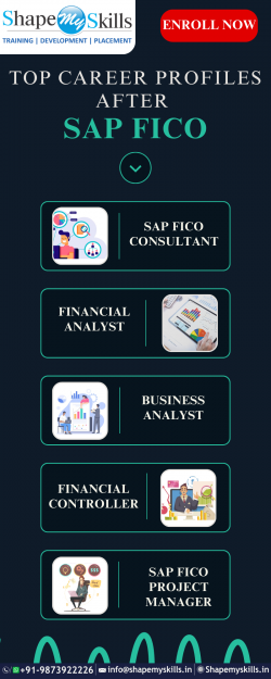 Top sap Fico training institute in Noida