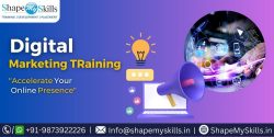 Top Digital Marketing Training at ShapeMySkills