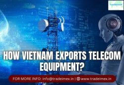 Vietnam Trade Data