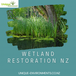 The Importance of Restoring Wetlands for the Preservation of Vital Ecosystems