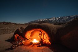 dried molasses for deer