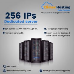 Buy Low Cost 256 IPs Dedicated Server