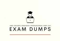 Learn LAWS-DevOps-Engineer-Professional-DOP-C01 Dumps in Just Ten Hours, Finally!