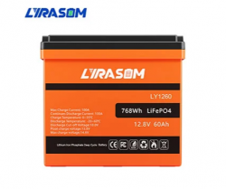 LITHIUM LIFEPO4 VOLTAGE BATTERY 12V