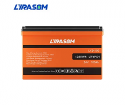 24 VOLT LIFEPO4 BATTERY