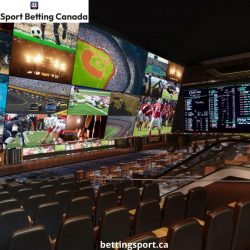 Exploring Online Sports Betting in Canada