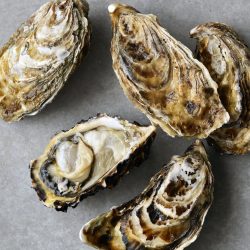 Seafood | Large Fresh Oysters | Seafood Restaurant Near Me | Greenfish