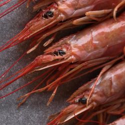 Shop Prawns | Fresh and Flavorful Prawns | Greenfish