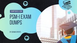 A Comprehensive Review: PSM-I Exam Dumps Explained