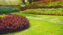 Commercial Landscape Companies Near Me