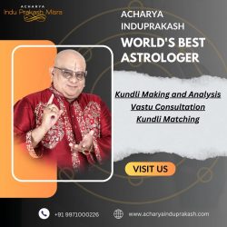 world’s best astrologer | acharya induprakash