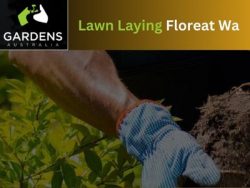 Expert Lawn Laying Services In Floreat, Wa: Gardens Australia