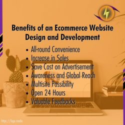 Ecommerce Site Development