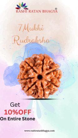 Get 10% Discount Buy 7 Mukhi Rudraksha Beads this Shravan Maas