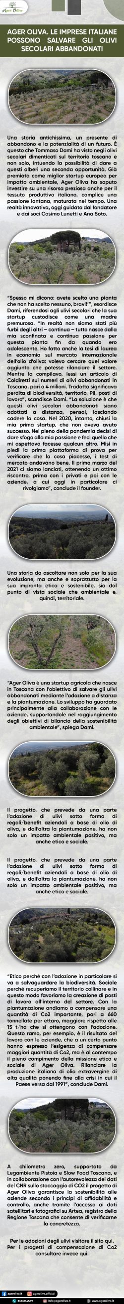 Ager Oliva. Le Imprese Italiane Possono Salvare Gli Olivi Secolari Abbandonati