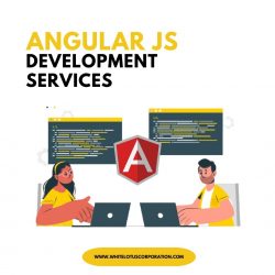 Hire AngularJs Developer