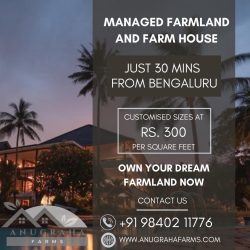 Managed Farmland – Nurturing Abundance: Anugraha Farms