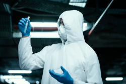 Professional Asbestos Removal in Sunshine Coast | Safe and Reliable Solutions