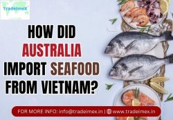 AUSTRALIA IMPORT DATA