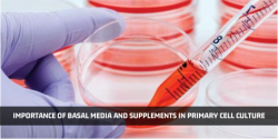 Basal Media in Plant Tissue Culture