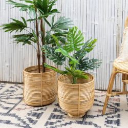 Buy The Best Indoor Planters From ArtStory