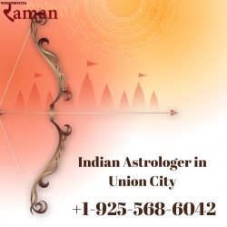 Find The Best Indian Astrologer in Union City Who Can Sort Your Life Problems Effectively