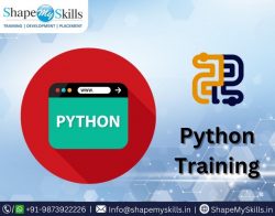 Best Way to Grow Your Python Skills at ShapeMySkills