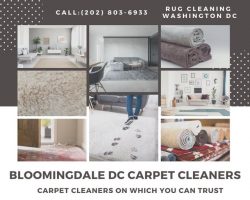 Upholstery Cleaning DC