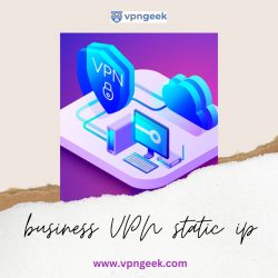 Business VPN Static Ip