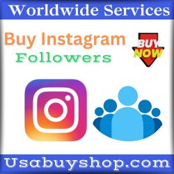 Buy Instagram Followers