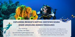 Certified Scuba Diver Training in Mexico