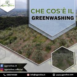 Che cos’è il Greenwashing