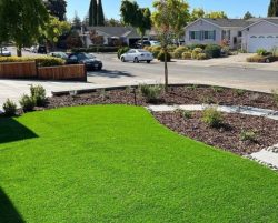 Commercial Property Landscaping