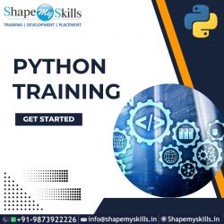 Elevate Your Coding Skills in Python at ShapeMySkills