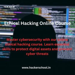 Ethical Hacking Online Course