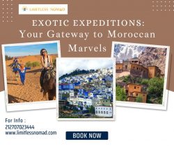 Exotic Expeditions: Your Gateway to Moroccan Marvels