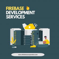 Firebase development Company