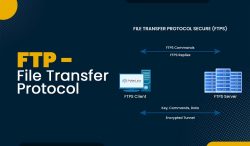 FTP – File Transfer Protocol