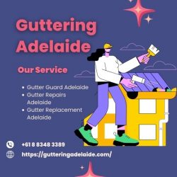 Gutter Guard Adelaide