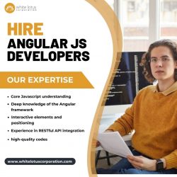 Angular Js Web Development Services in india