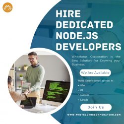 Hire Dedicated Node.js Developers- Whitelotus Corporation