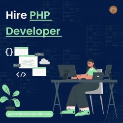 Hire PHP Developers- Process and Cost