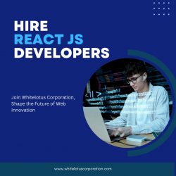 Hire Dedicated React Js Developer