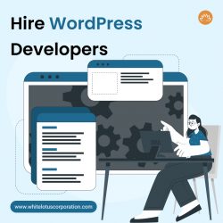 Hire WordPress Developers