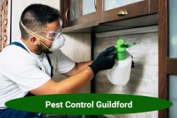 Say Goodbye to Pests with Our Proficient Pest Control Guildford!