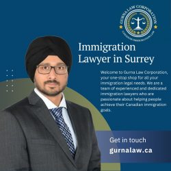 Top Immigration Lawyer in Surrey